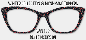 Winter Bullfinches 04