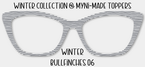 Winter Bullfinches 06